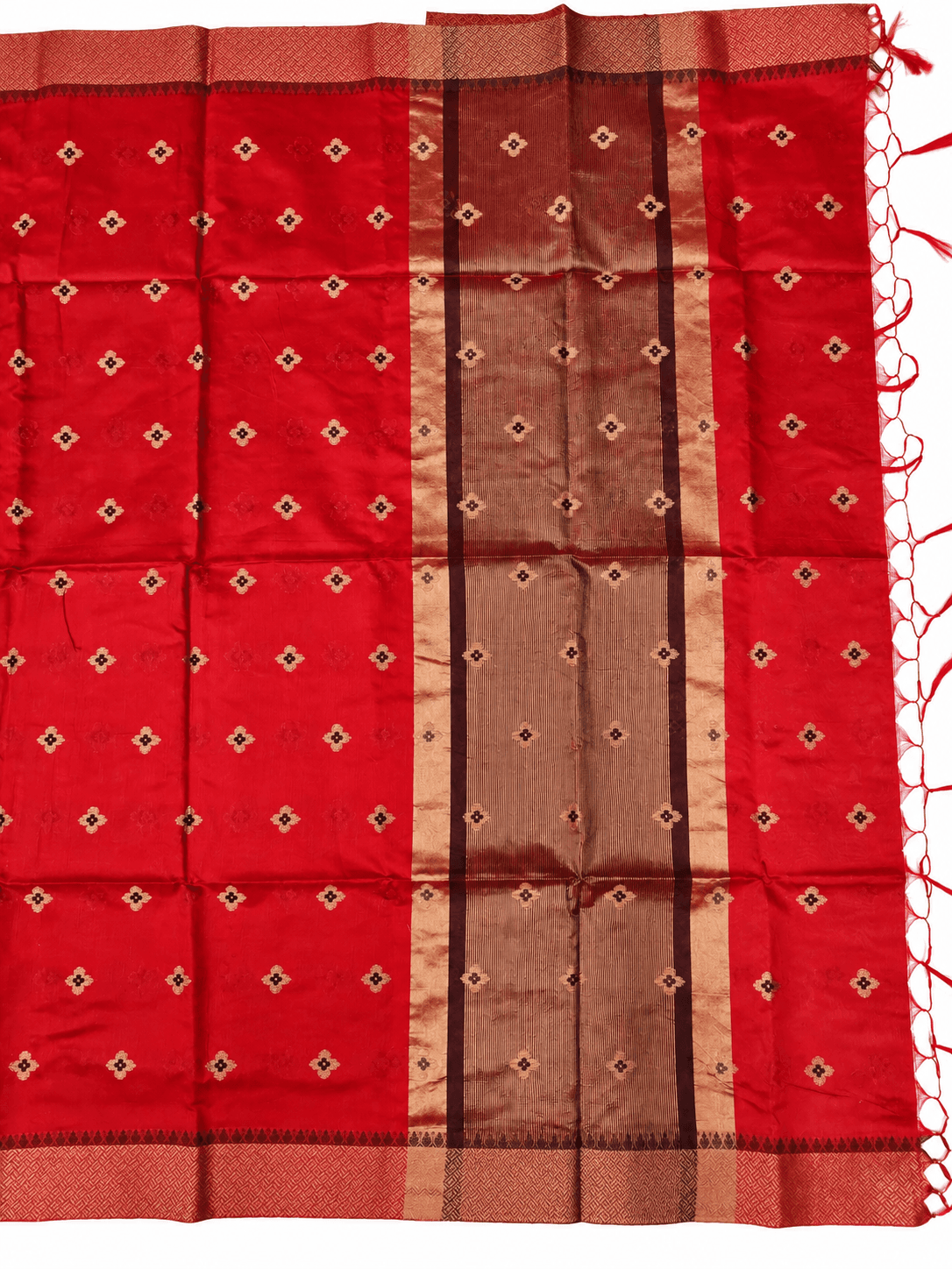 Banaras Fancy Saree 3