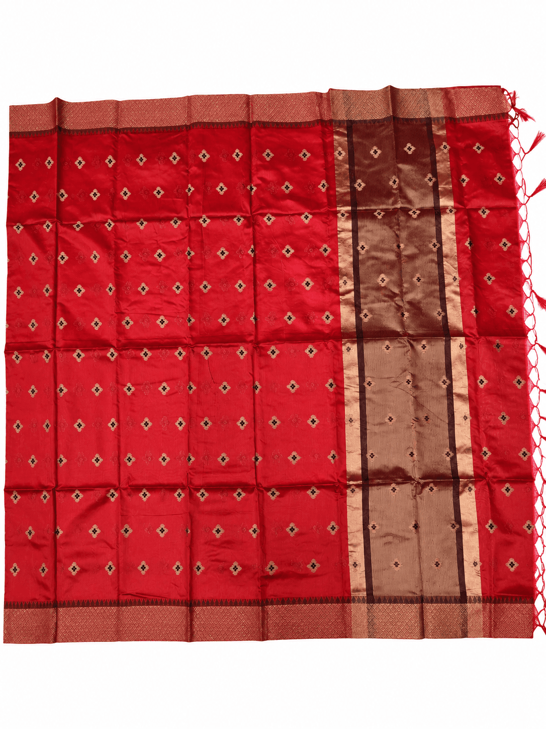 Banaras Fancy Saree