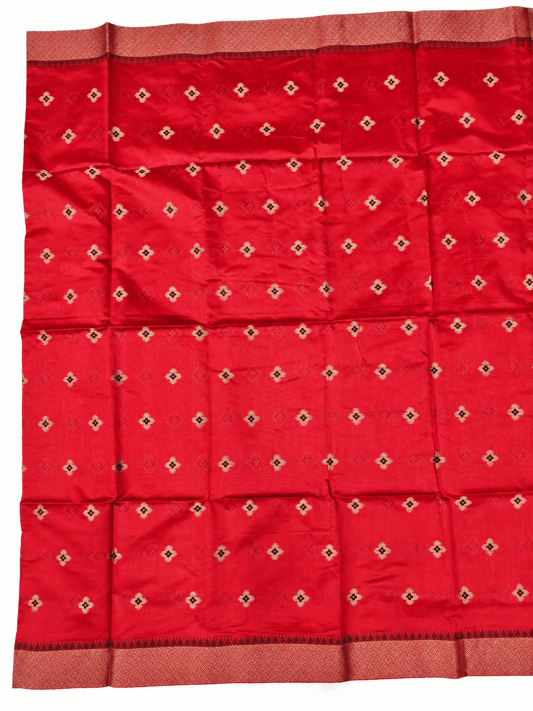 Banaras Fancy Saree, உடல்