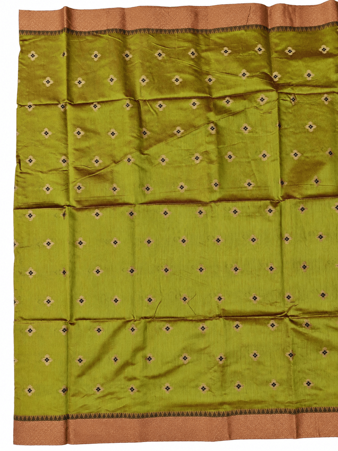 Banaras Fancy Saree, உடல்